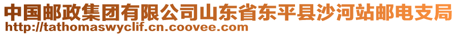 中國郵政集團有限公司山東省東平縣沙河站郵電支局