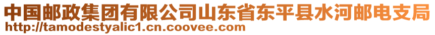 中國郵政集團有限公司山東省東平縣水河郵電支局