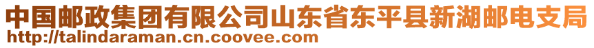 中國(guó)郵政集團(tuán)有限公司山東省東平縣新湖郵電支局