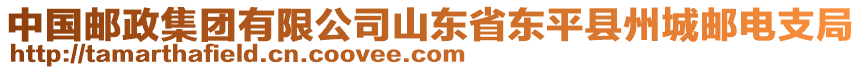 中國(guó)郵政集團(tuán)有限公司山東省東平縣州城郵電支局