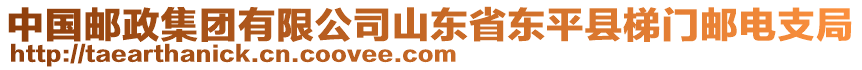 中國(guó)郵政集團(tuán)有限公司山東省東平縣梯門郵電支局