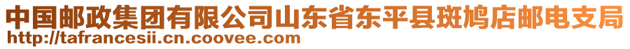 中國郵政集團有限公司山東省東平縣斑鳩店郵電支局