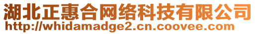 湖北正惠合網絡科技有限公司