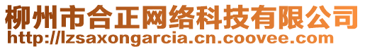 柳州市合正網絡科技有限公司