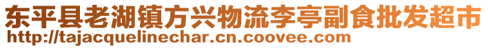 东平县老湖镇方兴物流李亭副食批发超市