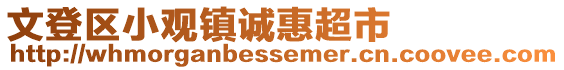 文登区小观镇诚惠超市