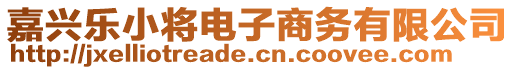 嘉興樂小將電子商務(wù)有限公司