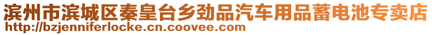 濱州市濱城區秦皇臺鄉勁品汽車用品蓄電池專賣店