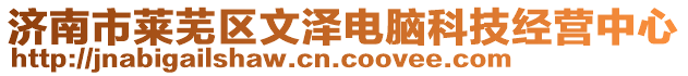 濟(jì)南市萊蕪區(qū)文澤電腦科技經(jīng)營(yíng)中心