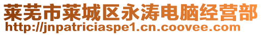 莱芜市莱城区永涛电脑经营部