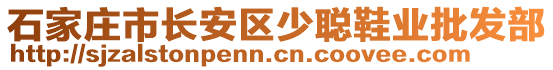 石家莊市長安區(qū)少聰鞋業(yè)批發(fā)部