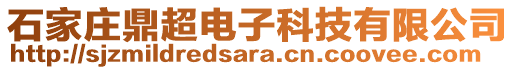 石家莊鼎超電子科技有限公司