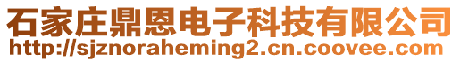 石家莊鼎恩電子科技有限公司