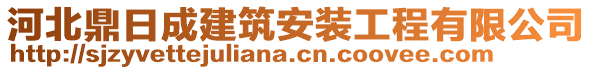 河北鼎日成建筑安装工程有限公司