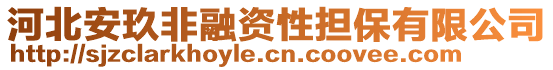 河北安玖非融資性擔(dān)保有限公司