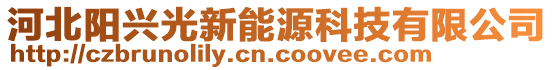 河北阳兴光新能源科技有限公司