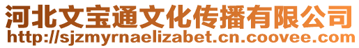 河北文寶通文化傳播有限公司