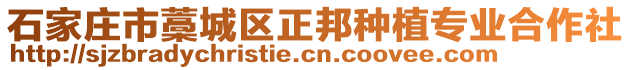 石家莊市藁城區(qū)正邦種植專業(yè)合作社