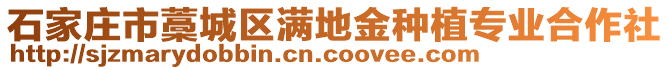 石家莊市藁城區(qū)滿地金種植專業(yè)合作社