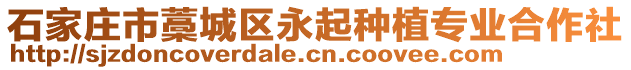 石家莊市藁城區(qū)永起種植專業(yè)合作社