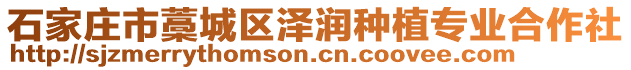 石家莊市藁城區(qū)澤潤種植專業(yè)合作社