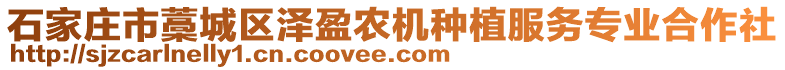 石家莊市藁城區(qū)澤盈農(nóng)機種植服務(wù)專業(yè)合作社