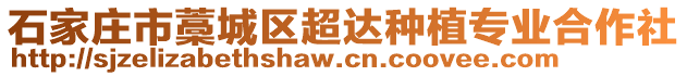 石家莊市藁城區(qū)超達(dá)種植專業(yè)合作社