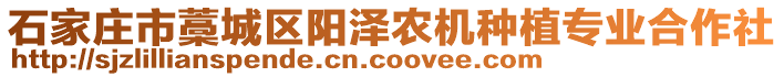 石家莊市藁城區(qū)陽(yáng)澤農(nóng)機(jī)種植專業(yè)合作社