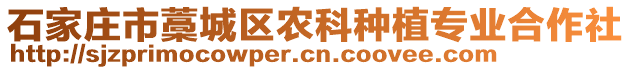 石家莊市藁城區(qū)農(nóng)科種植專業(yè)合作社