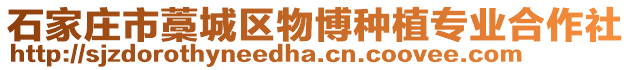 石家莊市藁城區(qū)物博種植專業(yè)合作社