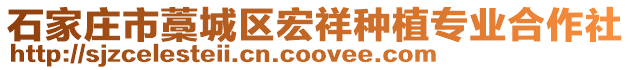 石家莊市藁城區(qū)宏祥種植專業(yè)合作社