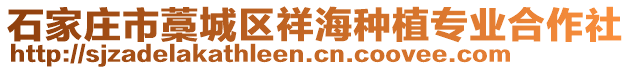 石家莊市藁城區(qū)祥海種植專業(yè)合作社