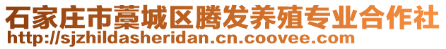 石家莊市藁城區(qū)騰發(fā)養(yǎng)殖專業(yè)合作社