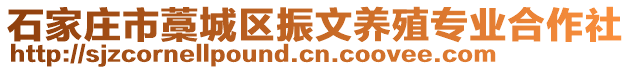 石家庄市藁城区振文养殖专业合作社