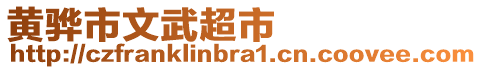 黃驊市文武超市