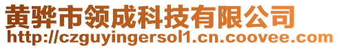 黃驊市領(lǐng)成科技有限公司