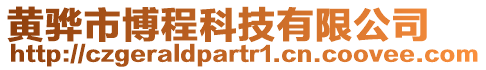 黃驊市博程科技有限公司