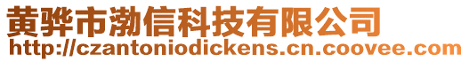 黃驊市渤信科技有限公司