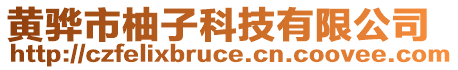 黃驊市柚子科技有限公司