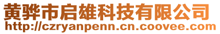 黃驊市啟雄科技有限公司