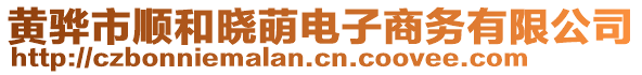 黃驊市順和曉萌電子商務有限公司