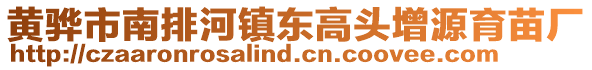 黃驊市南排河鎮(zhèn)東高頭增源育苗廠