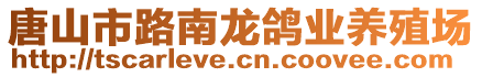 唐山市路南龍鴿業(yè)養(yǎng)殖場(chǎng)