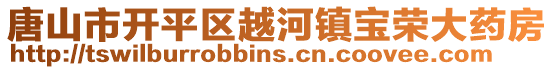 唐山市开平区越河镇宝荣大药房