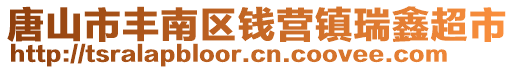 唐山市豐南區(qū)錢營鎮(zhèn)瑞鑫超市