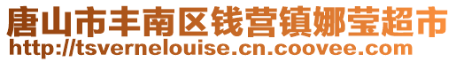 唐山市豐南區(qū)錢(qián)營(yíng)鎮(zhèn)娜瑩超市