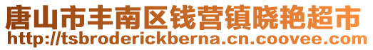 唐山市豐南區(qū)錢營(yíng)鎮(zhèn)曉艷超市