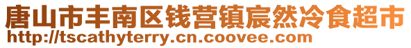 唐山市豐南區(qū)錢營鎮(zhèn)宸然冷食超市