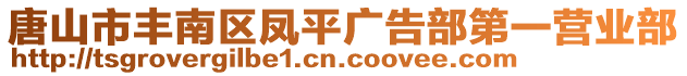 唐山市豐南區(qū)鳳平廣告部第一營業(yè)部