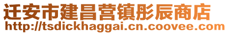 遷安市建昌營鎮(zhèn)彤辰商店